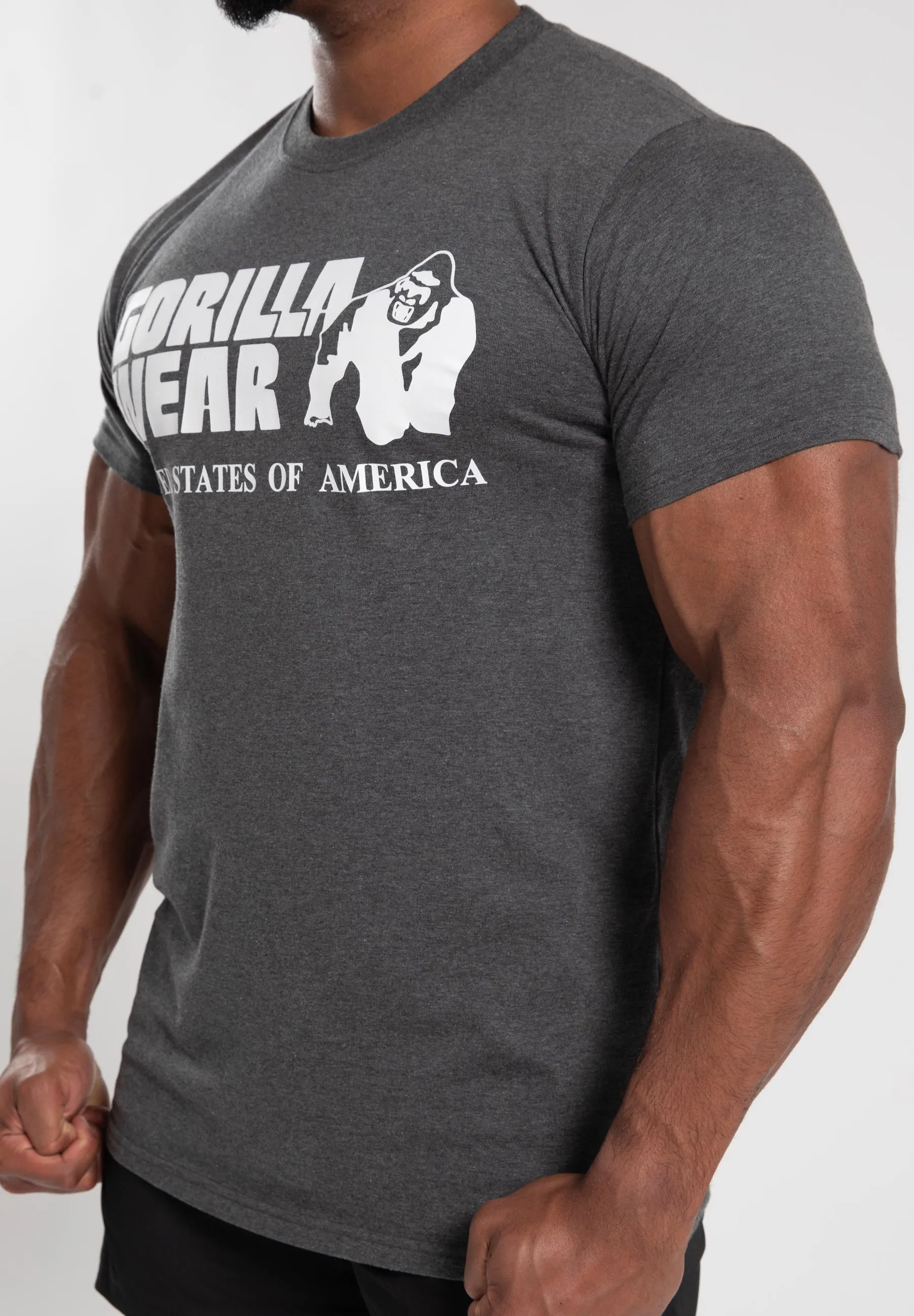 Classic T-Shirt - Gray