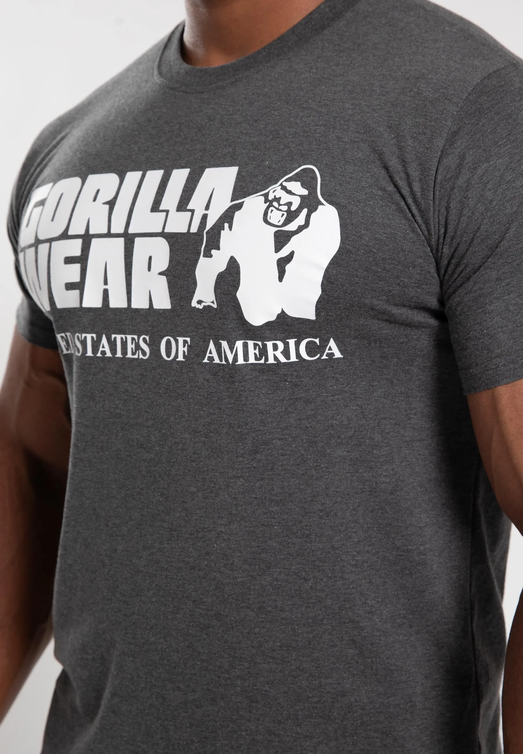 Classic T-Shirt - Gray