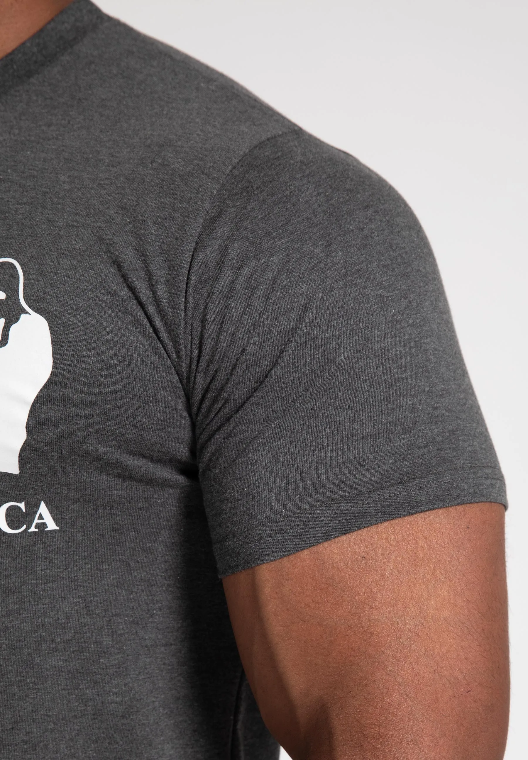 Classic T-Shirt - Gray