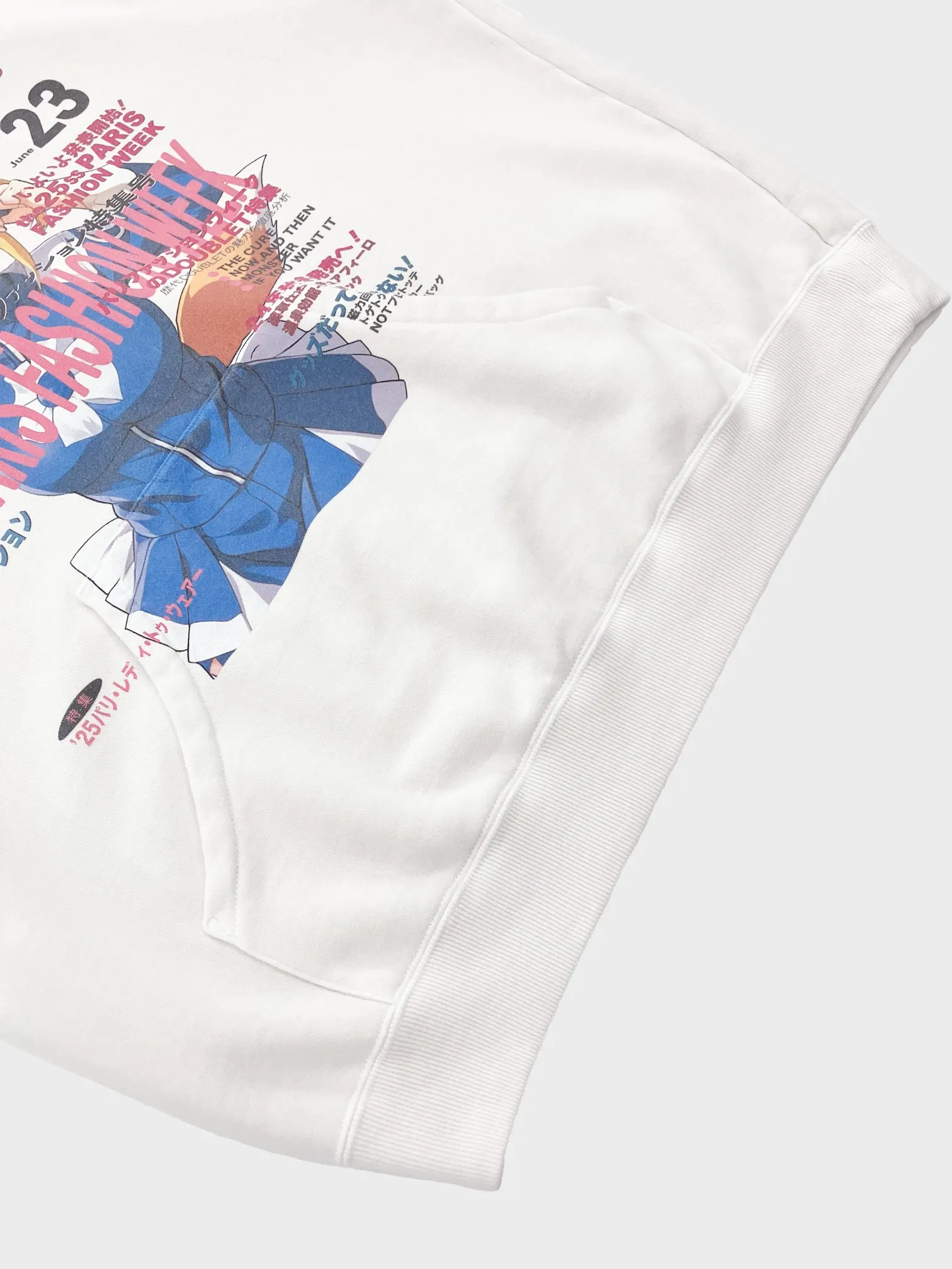 doublet / ANIME PRINT HOODIE (FOX)