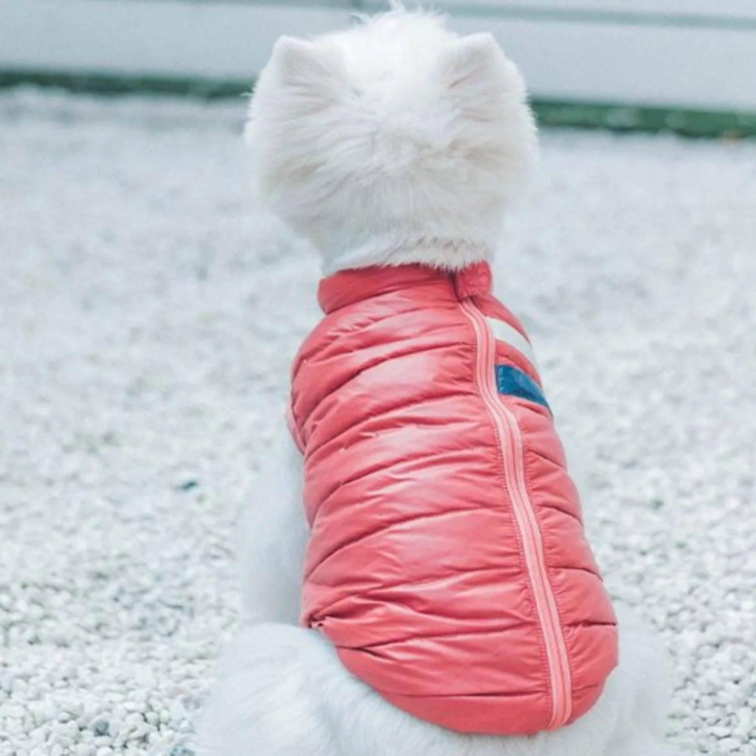 Down Puffer Dog Jacket Vest